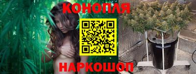молекула духа Долгопрудный