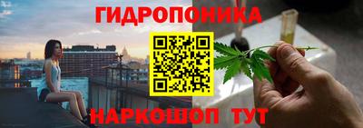хмурый Дмитров